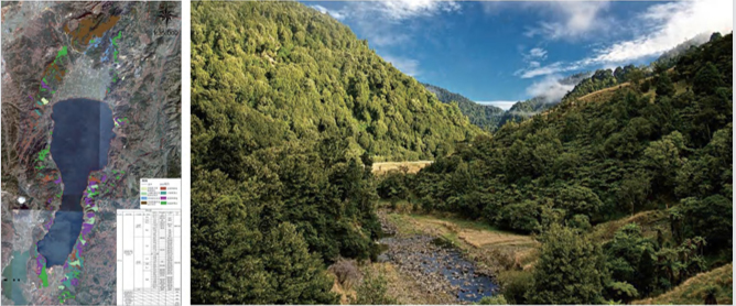 澄江撫仙湖徑流區(qū)植被恢復治理